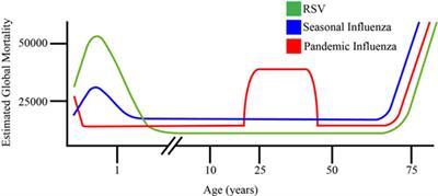 Induction and Subversion of Human Protective Immunity: Contrasting Influenza and Respiratory Syncytial Virus